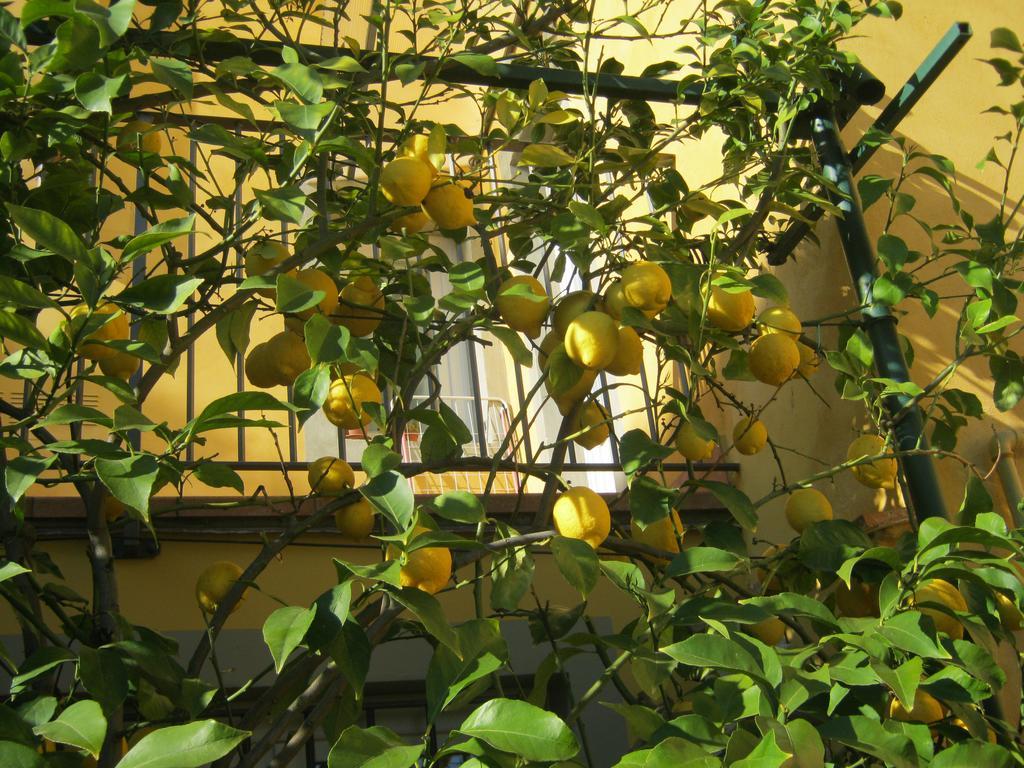 Holiday Home Il Borgo Degli Agrumi Uzzano Extérieur photo