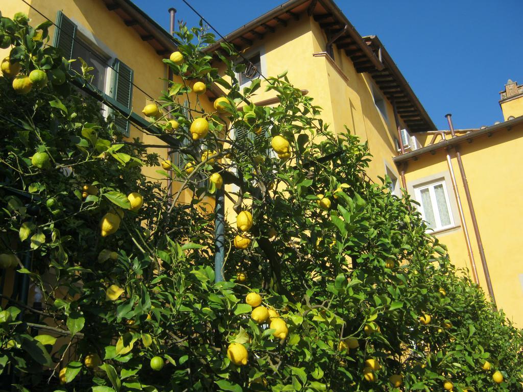 Holiday Home Il Borgo Degli Agrumi Uzzano Extérieur photo